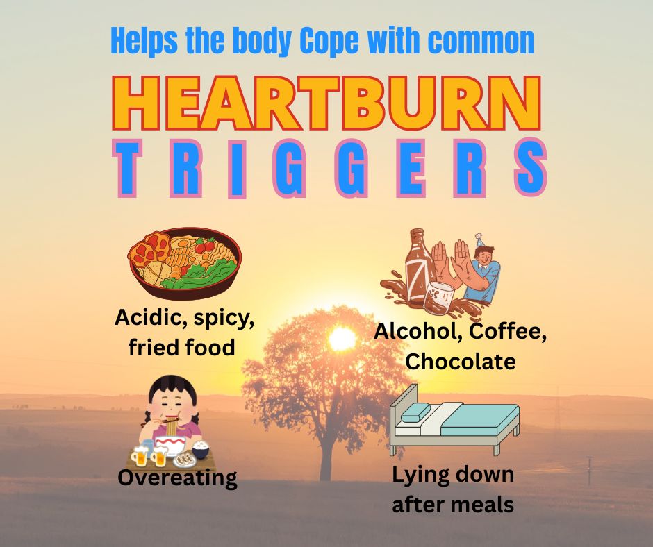 GESTY Drops – Natural Homoeopathic Relief for Heartburn and Acidity